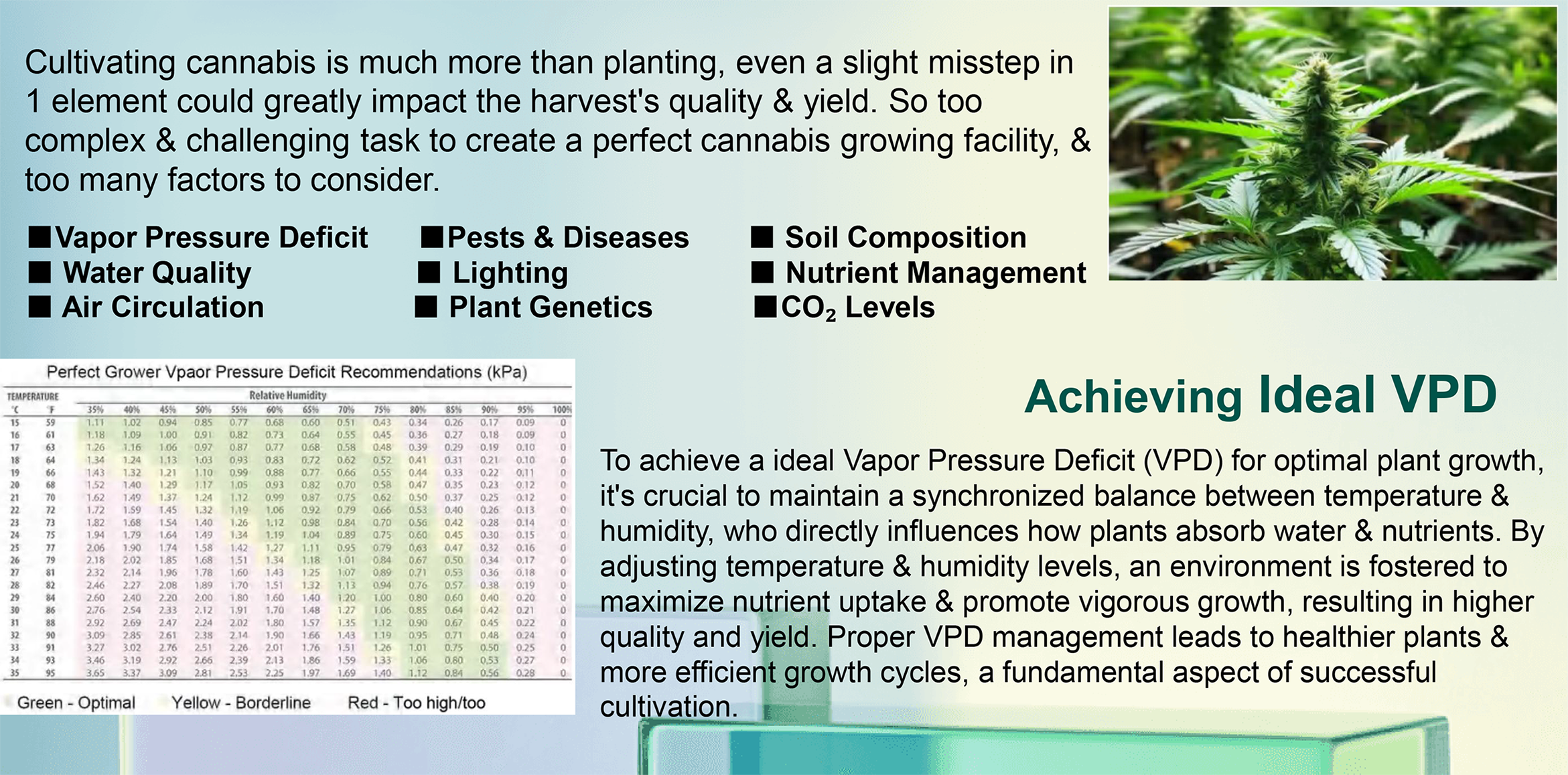 Ambient factors of Cultivating Cannabis & ideal Vapor Pressure Deficit (VPD)