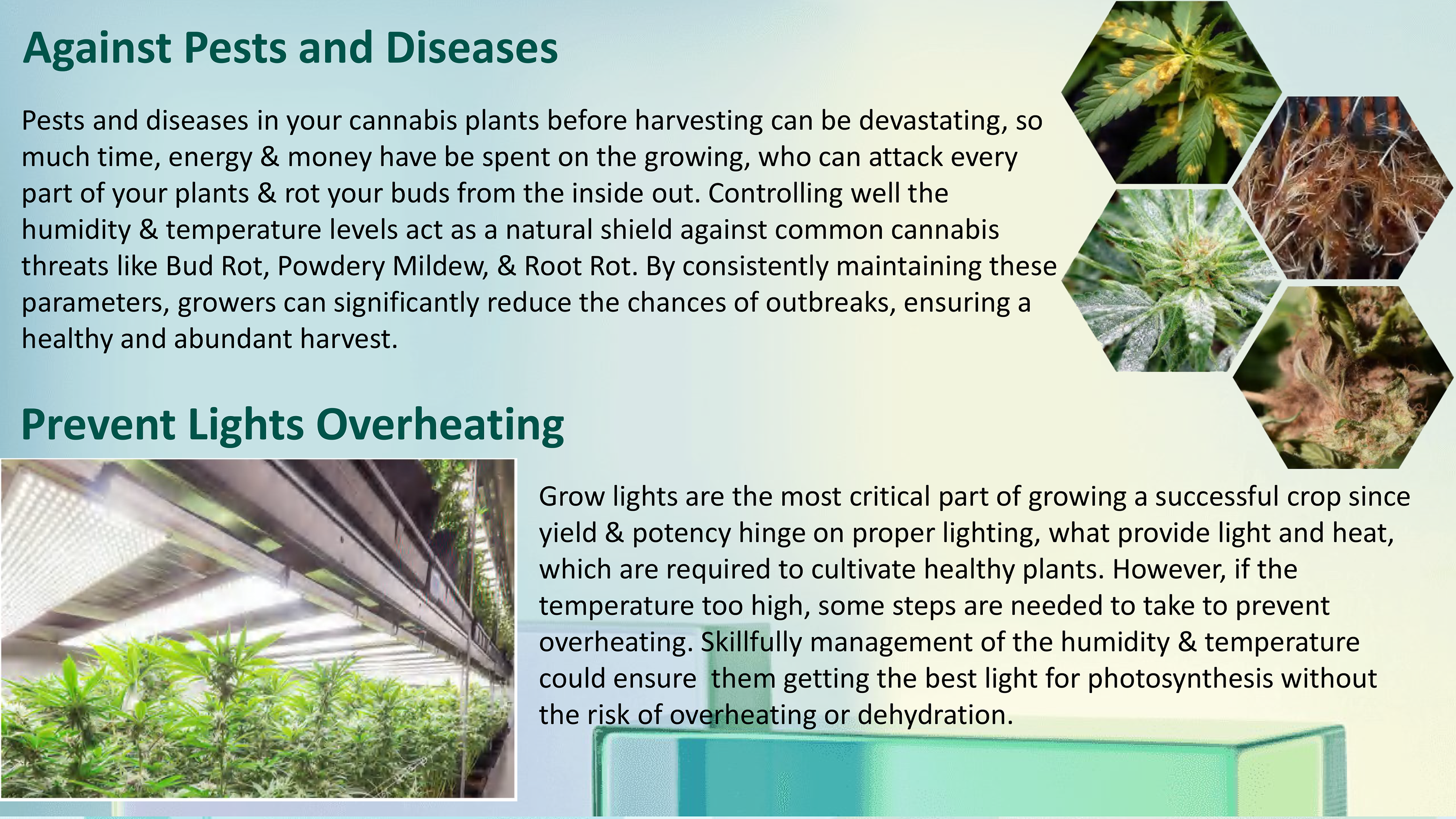 Against Pests & Diseases, Prevent Lights Overheating to reduce the chances of outbreaks, ensuring a healthy and abundant harvest.